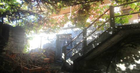 Quinta  Venda em Parada de Ester e Ester,Castro Daire