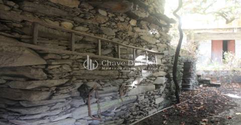 Quinta  Venda em Parada de Ester e Ester,Castro Daire