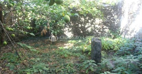 Quinta  Venda em Parada de Ester e Ester,Castro Daire