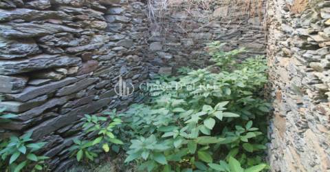 Quinta  Venda em Parada de Ester e Ester,Castro Daire