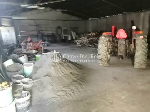 Armazém  Venda em Campo,Viseu