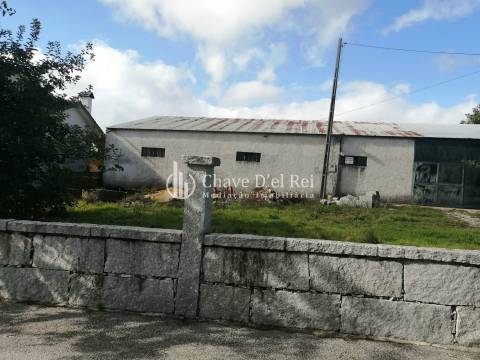 Armazém  Venda em Campo,Viseu