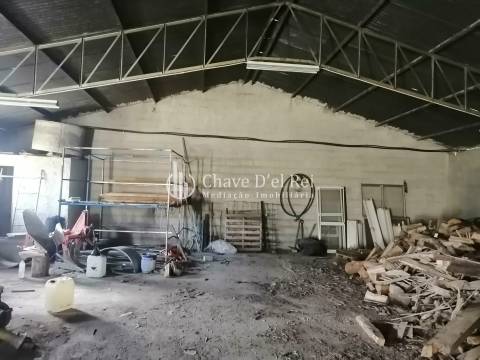 Armazém  Venda em Campo,Viseu