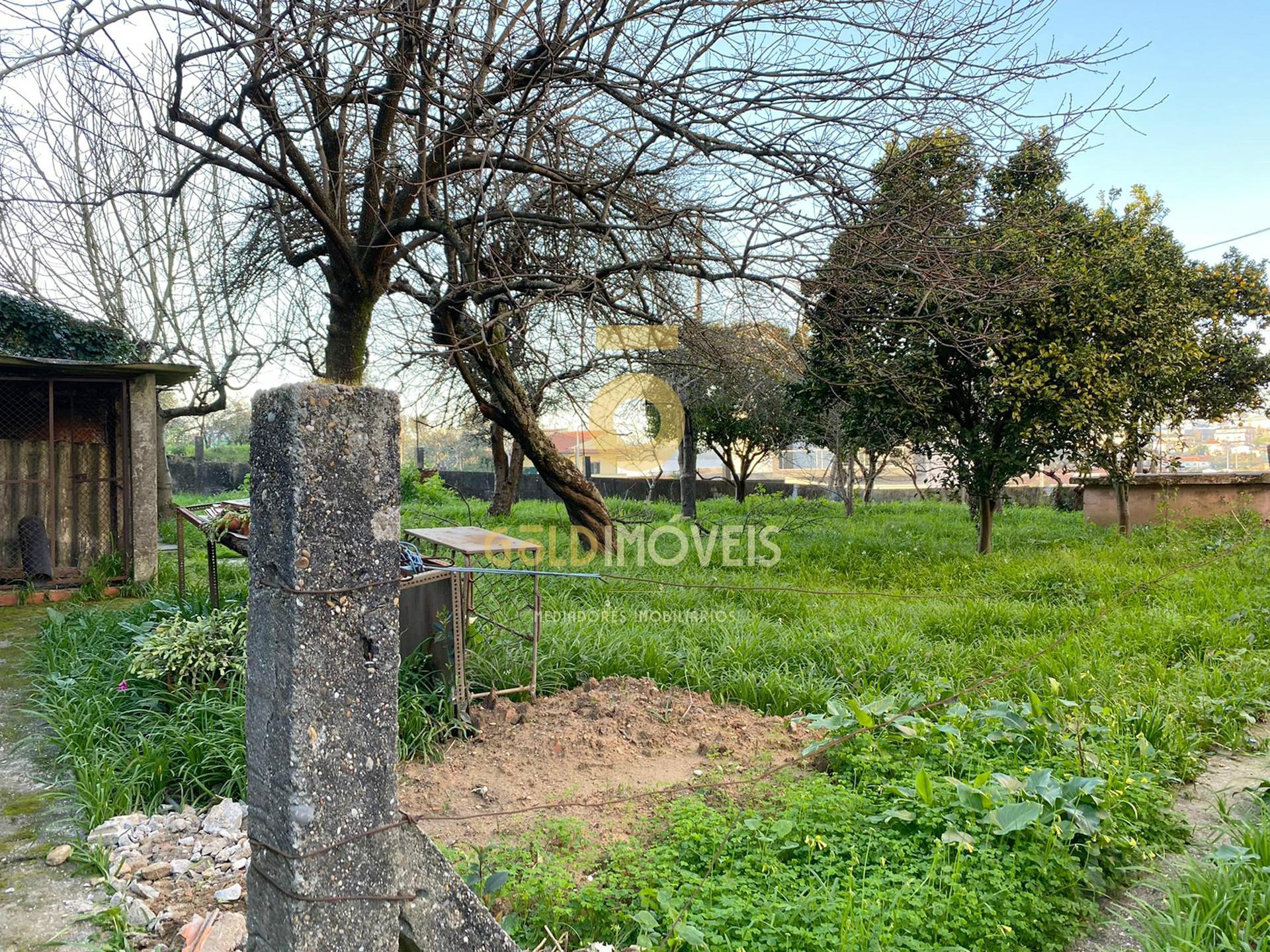 Terreno  Venda em Oliveira de Azeméis, Santiago de Riba-Ul, Ul, Macinhata da Seixa e Madail,Oliveira de Azeméis