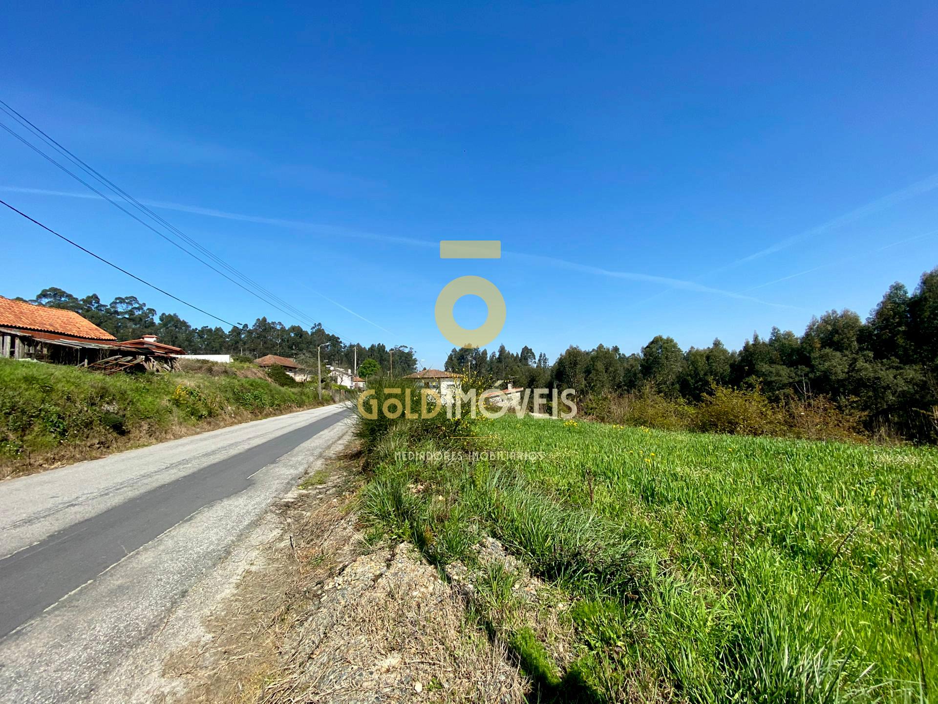 Terreno  Venda em São Martinho da Gândara,Oliveira de Azeméis