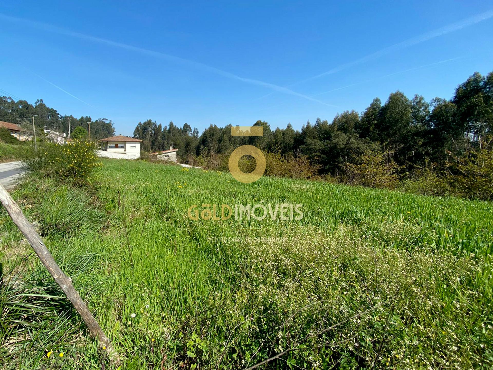 Terreno  Venda em São Martinho da Gândara,Oliveira de Azeméis