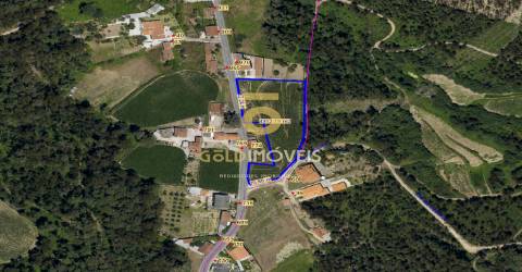 Terreno  Venda em São Martinho da Gândara,Oliveira de Azeméis