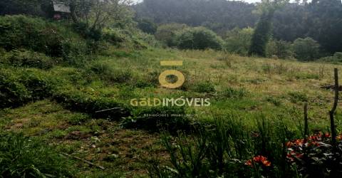 Terreno  Venda em Chave,Arouca