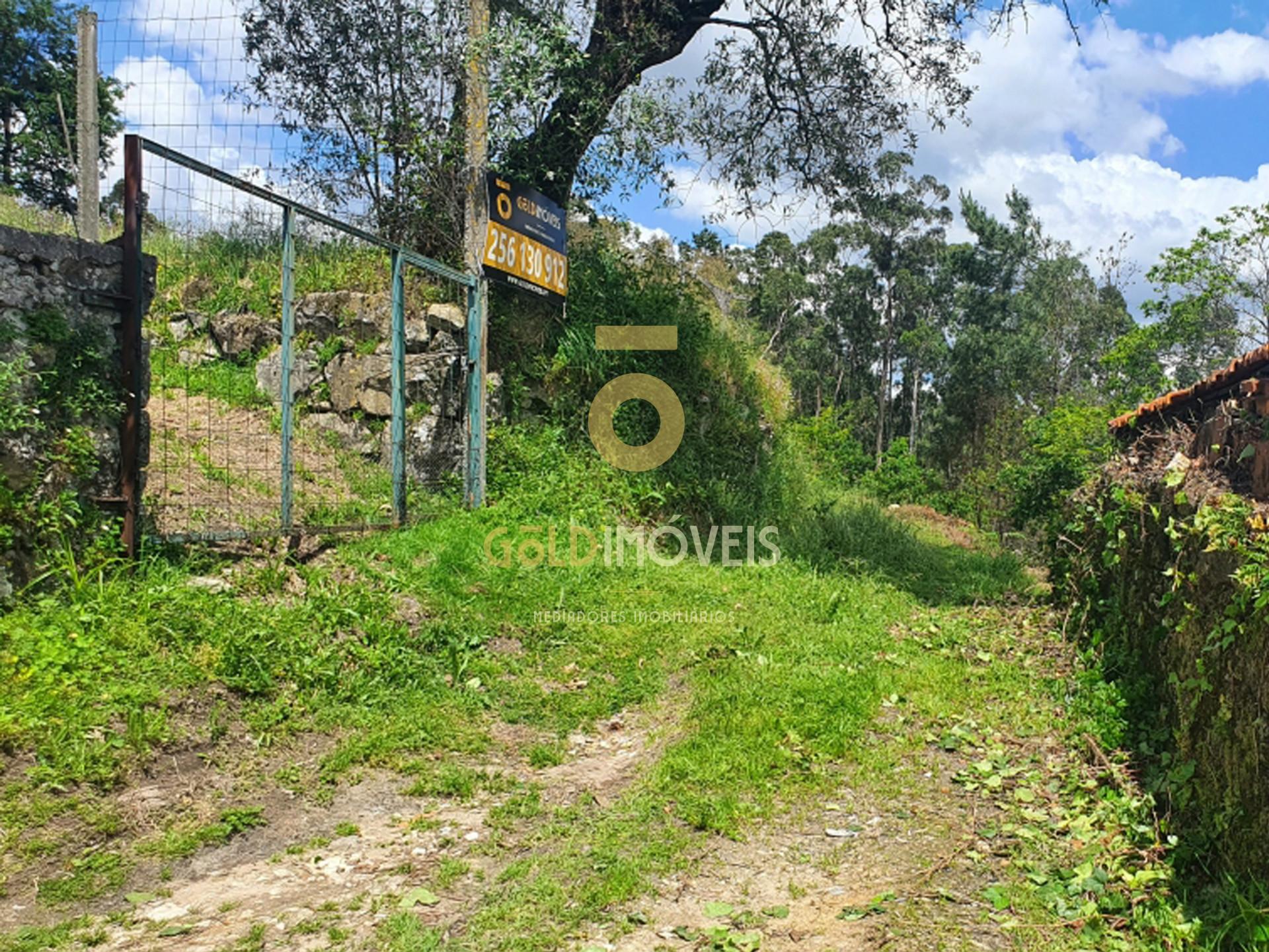 Terreno  Venda em Nogueira do Cravo e Pindelo,Oliveira de Azeméis