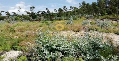 Terreno florestal em Fonte Arcada - Penafiel