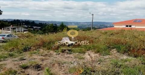 Terreno florestal em Fonte Arcada - Penafiel