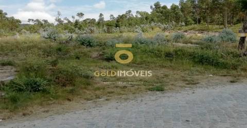 Terreno florestal em Fonte Arcada - Penafiel