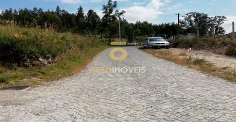 Terreno florestal em Fonte Arcada - Penafiel