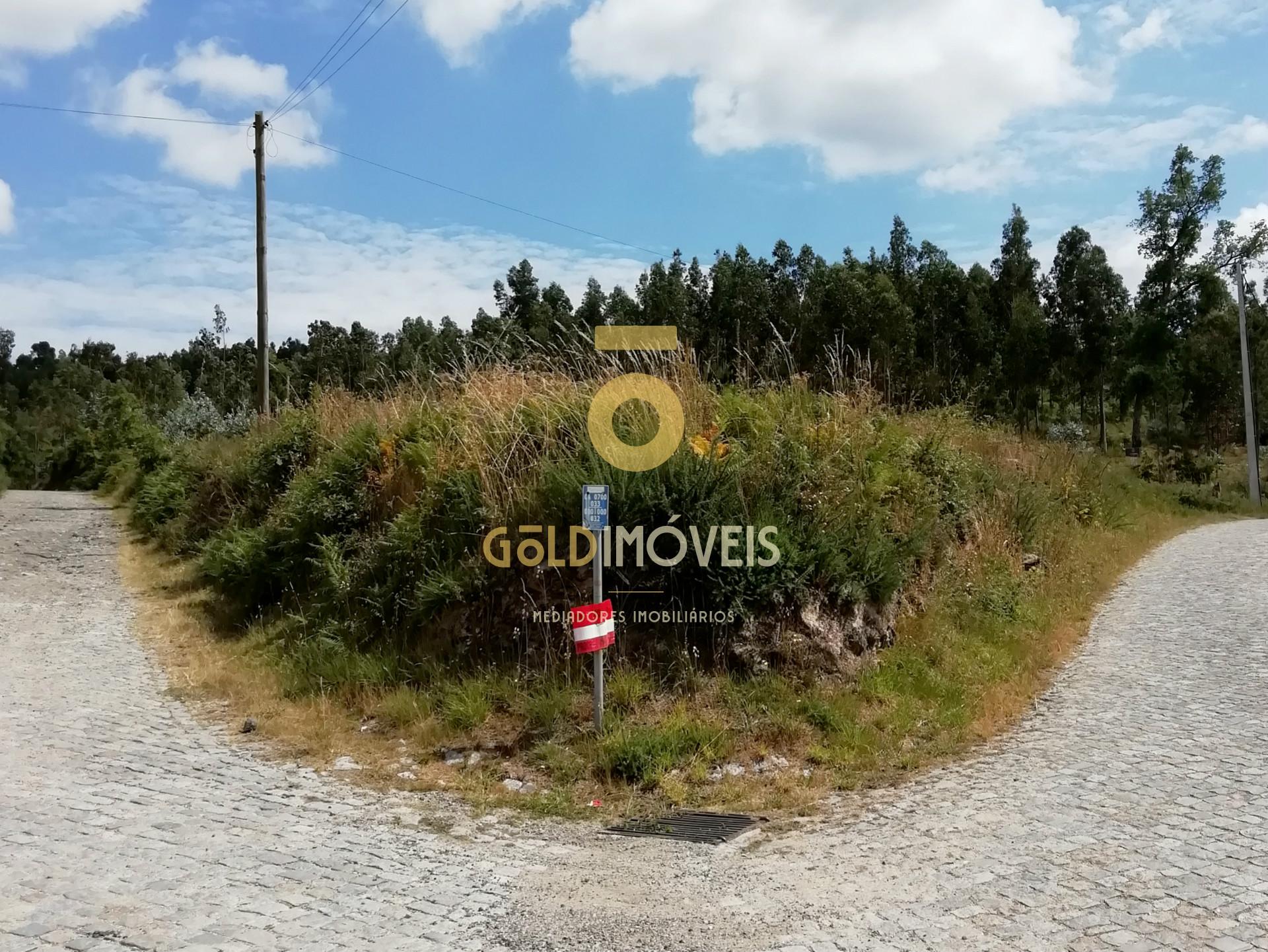 Terreno florestal em Fonte Arcada - Penafiel