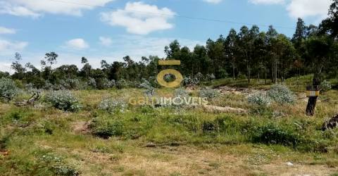 Terreno florestal em Fonte Arcada - Penafiel