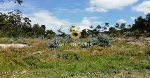 Terreno florestal em Fonte Arcada - Penafiel