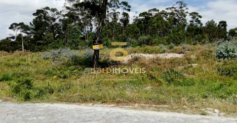 Terreno florestal em Fonte Arcada - Penafiel
