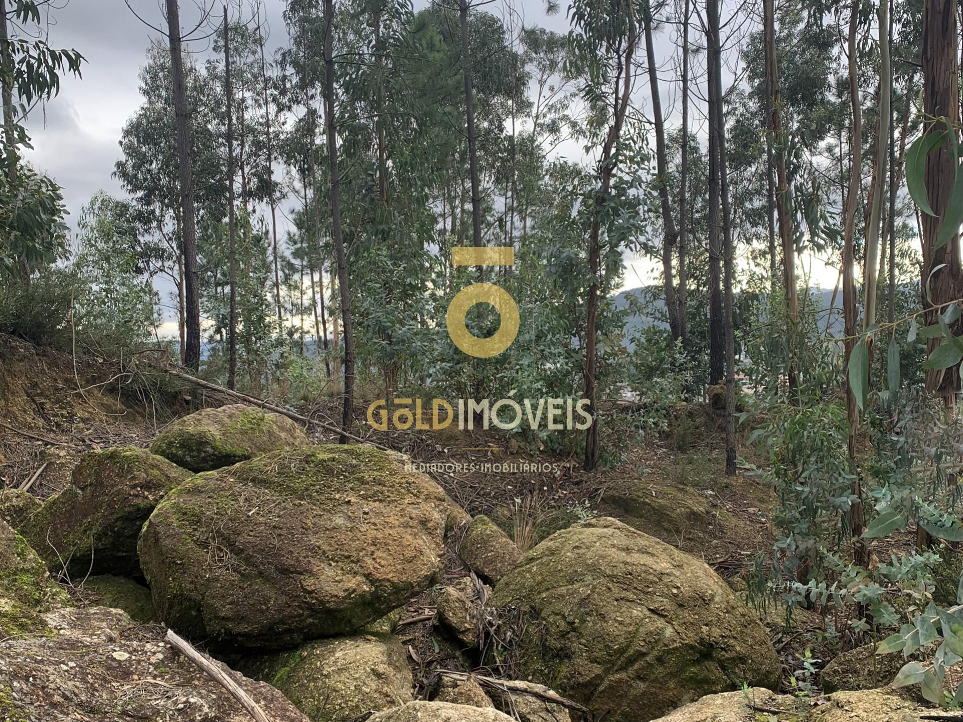 Lote Industrial  Venda em Sobrado e Bairros,Castelo de Paiva