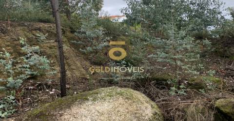 Lote Industrial  Venda em Sobrado e Bairros,Castelo de Paiva