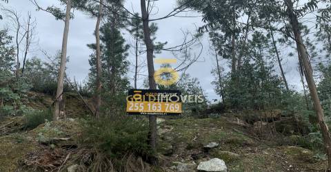 Lote Industrial  Venda em Sobrado e Bairros,Castelo de Paiva