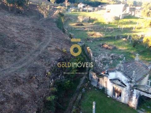 Quinta para restauro em Cabeça Santa - Penafiel