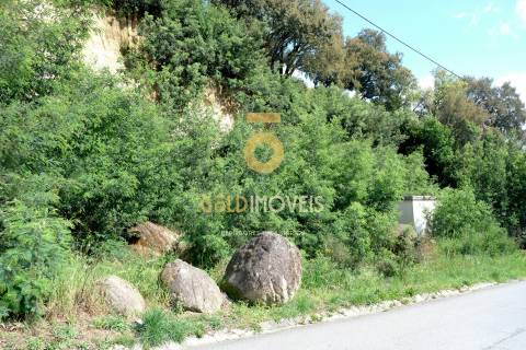 Lote de terreno em São Martinho de Sardoura, Castelo de Paiva
