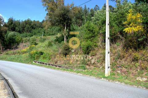 Lote de terreno em São Martinho de Sardoura, Castelo de Paiva