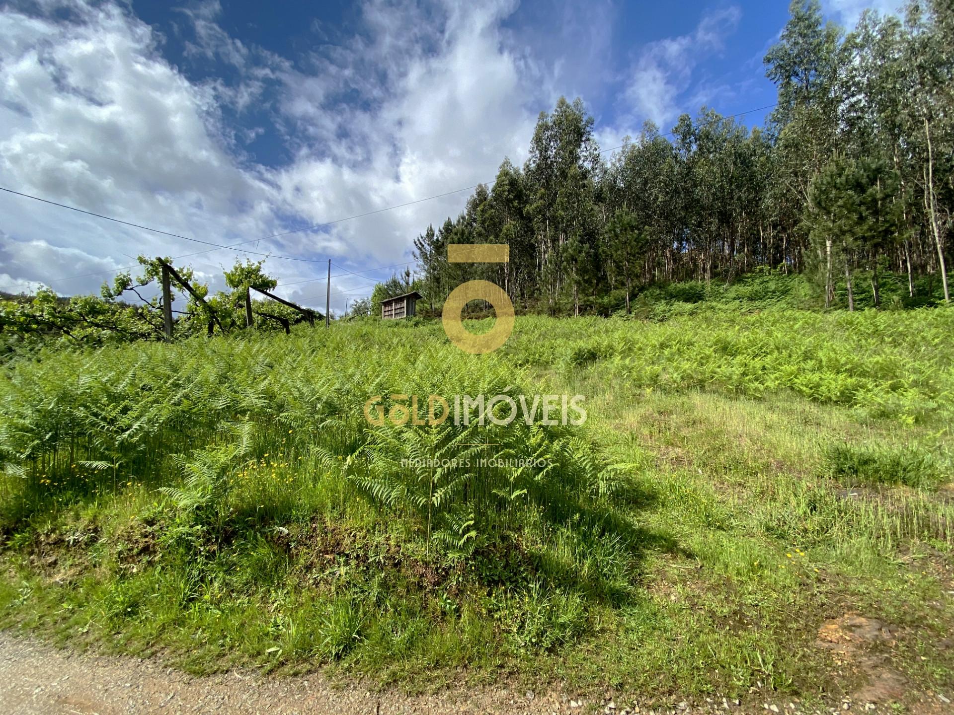 Terreno para construção, Real, Castelo de Paiva