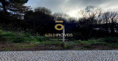 Terreno Para Construção  Venda em Oliveira de Azeméis, Santiago de Riba-Ul, Ul, Macinhata da Seixa e Madail,Oliveira de Azeméis