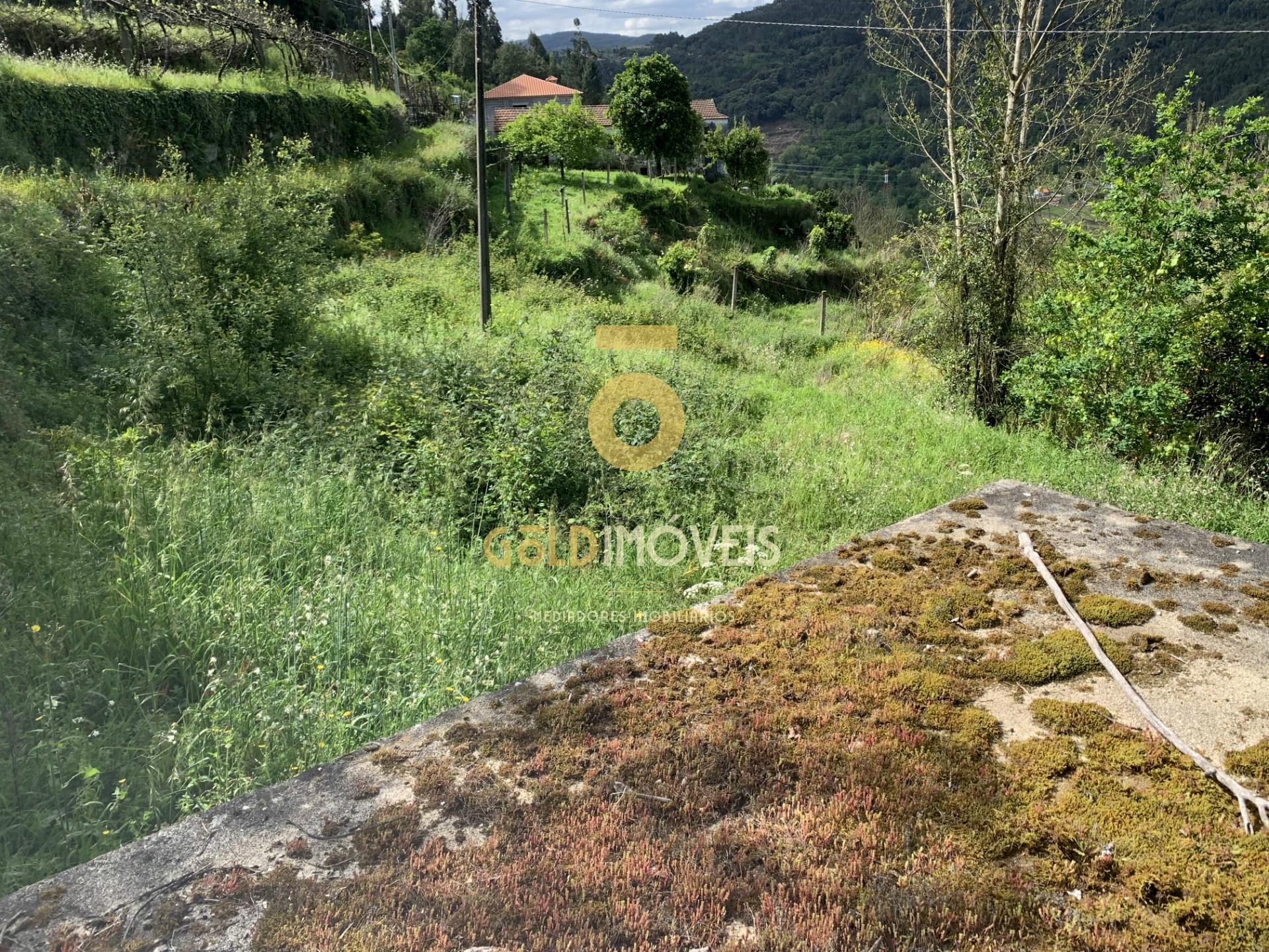 Terreno Rústico  Venda em Souselo,Cinfães