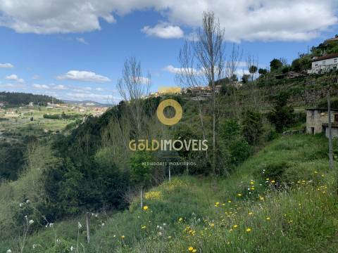 Terreno Rústico  Venda em Souselo,Cinfães