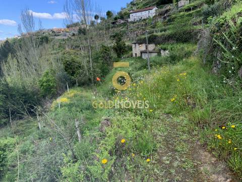 Terreno Rústico  Venda em Souselo,Cinfães