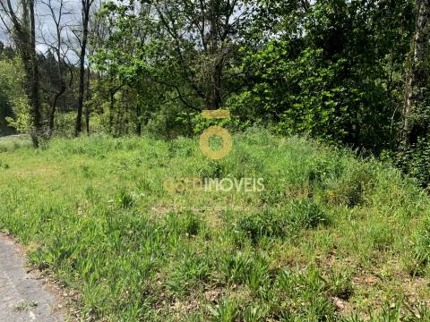 Terreno Rústico  Venda em Souselo,Cinfães