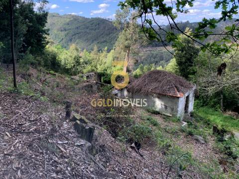 Moradia para Restaurar T0 Venda em Souselo,Cinfães