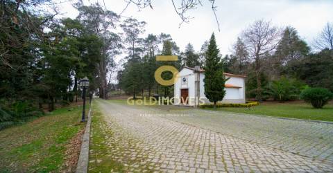 Quinta >=T10 Venda em Oliveira de Azeméis, Santiago de Riba-Ul, Ul, Macinhata da Seixa e Madail,Oliveira de Azeméis