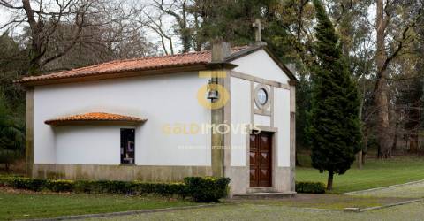 Quinta >=T10 Venda em Oliveira de Azeméis, Santiago de Riba-Ul, Ul, Macinhata da Seixa e Madail,Oliveira de Azeméis