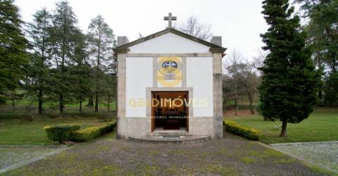 Quinta >=T10 Venda em Oliveira de Azeméis, Santiago de Riba-Ul, Ul, Macinhata da Seixa e Madail,Oliveira de Azeméis