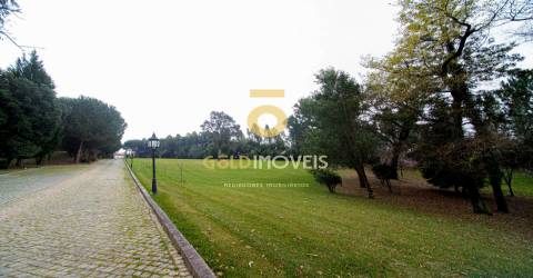 Quinta >=T10 Venda em Oliveira de Azeméis, Santiago de Riba-Ul, Ul, Macinhata da Seixa e Madail,Oliveira de Azeméis