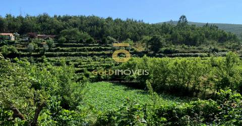 Terreno para Construção