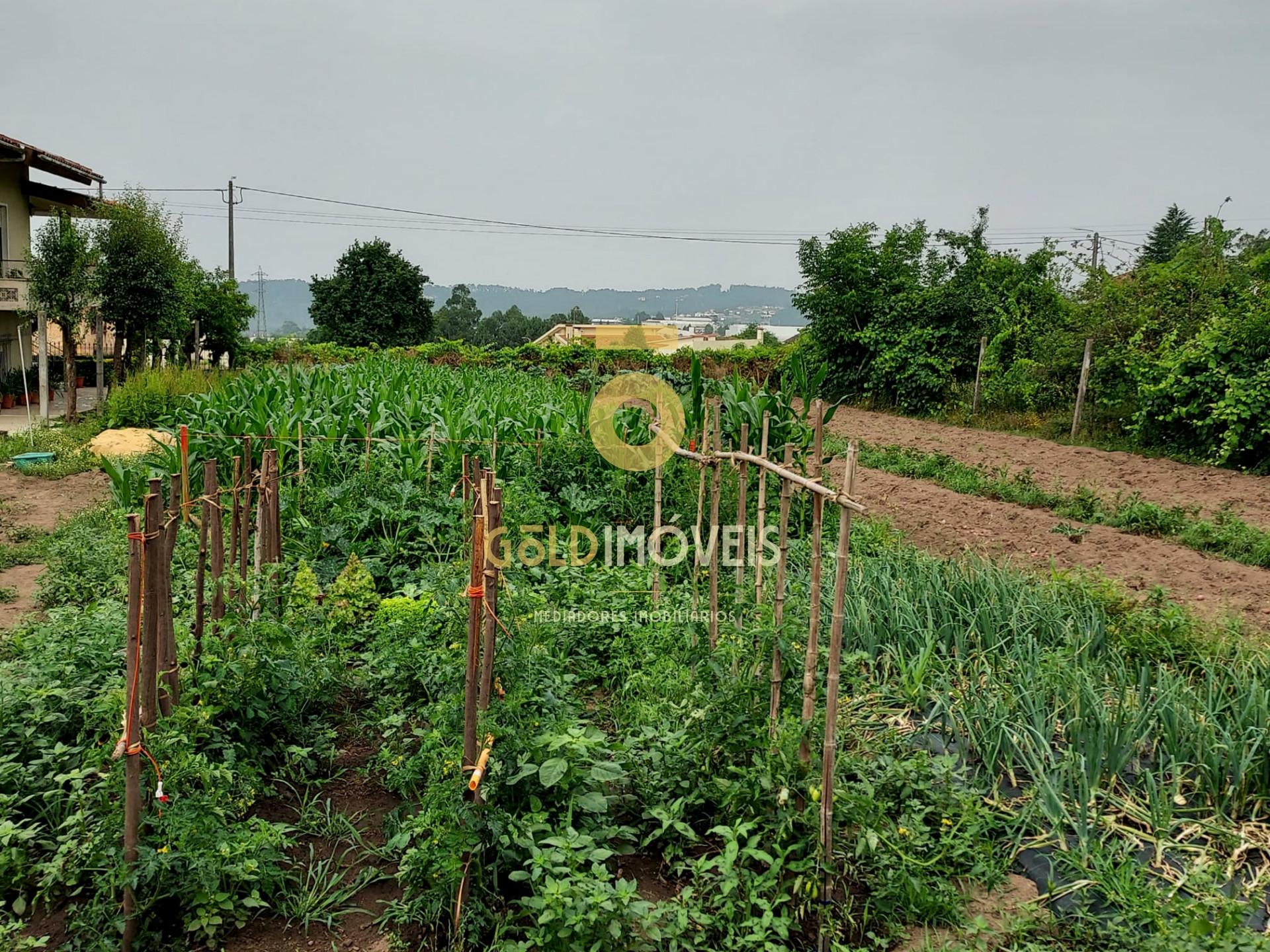 Terreno Para Construção  Venda em Oliveira de Azeméis, Santiago de Riba-Ul, Ul, Macinhata da Seixa e Madail,Oliveira de Azeméis