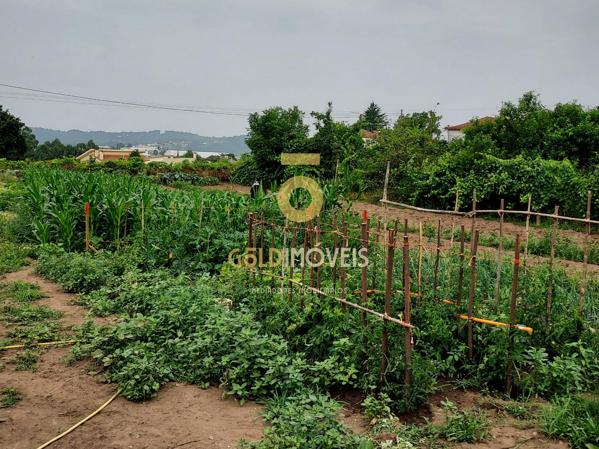 Terreno Para Construção  Venda em Oliveira de Azeméis, Santiago de Riba-Ul, Ul, Macinhata da Seixa e Madail,Oliveira de Azeméis