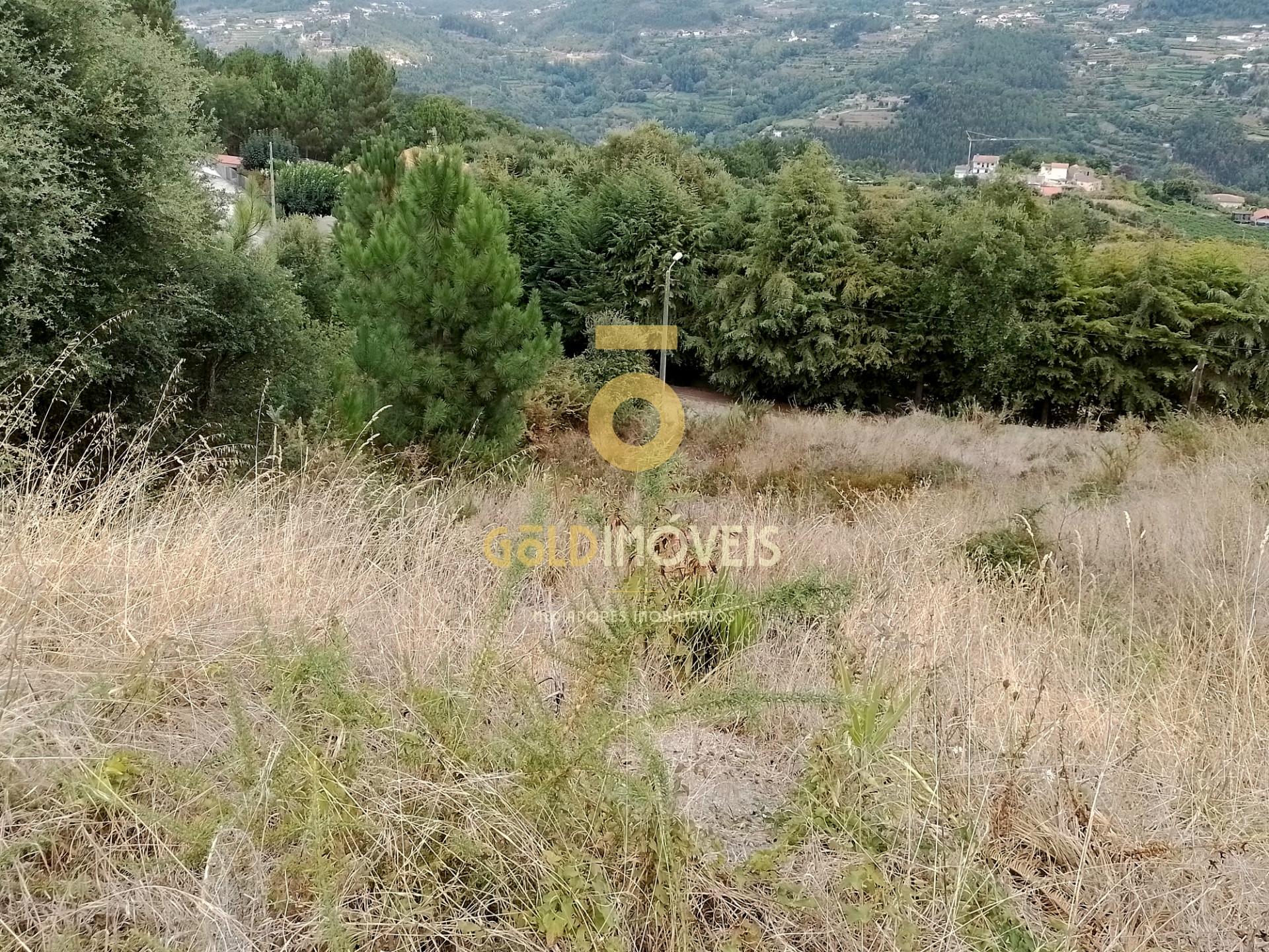 Lote de Terreno para Construção, Bairros, Castelo de Paiva