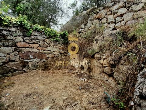 Moradia para Restaurar T3