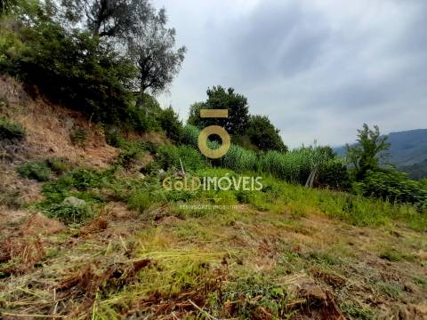 Moradia para Restaurar T3