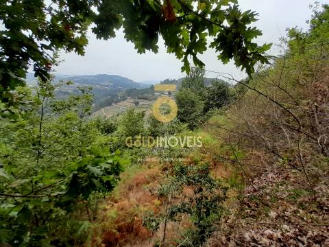 Moradia para Restaurar T3