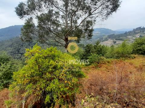 Moradia para Restaurar T3