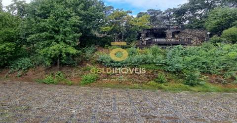 Quinta >=T10 Venda em Oliveira de Azeméis, Santiago de Riba-Ul, Ul, Macinhata da Seixa e Madail,Oliveira de Azeméis