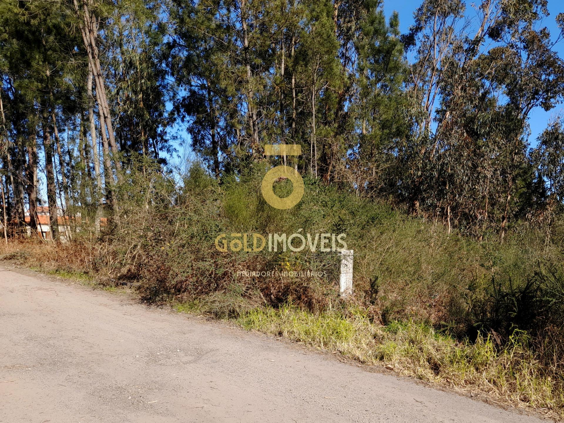 Lote de Terreno para construção em Alpendorada - Marco de Canaveses