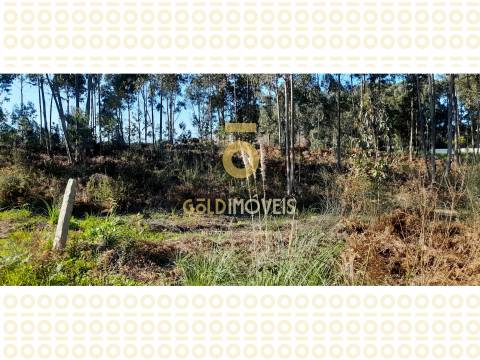 Lote de Terreno para construção em Anta - Espinho