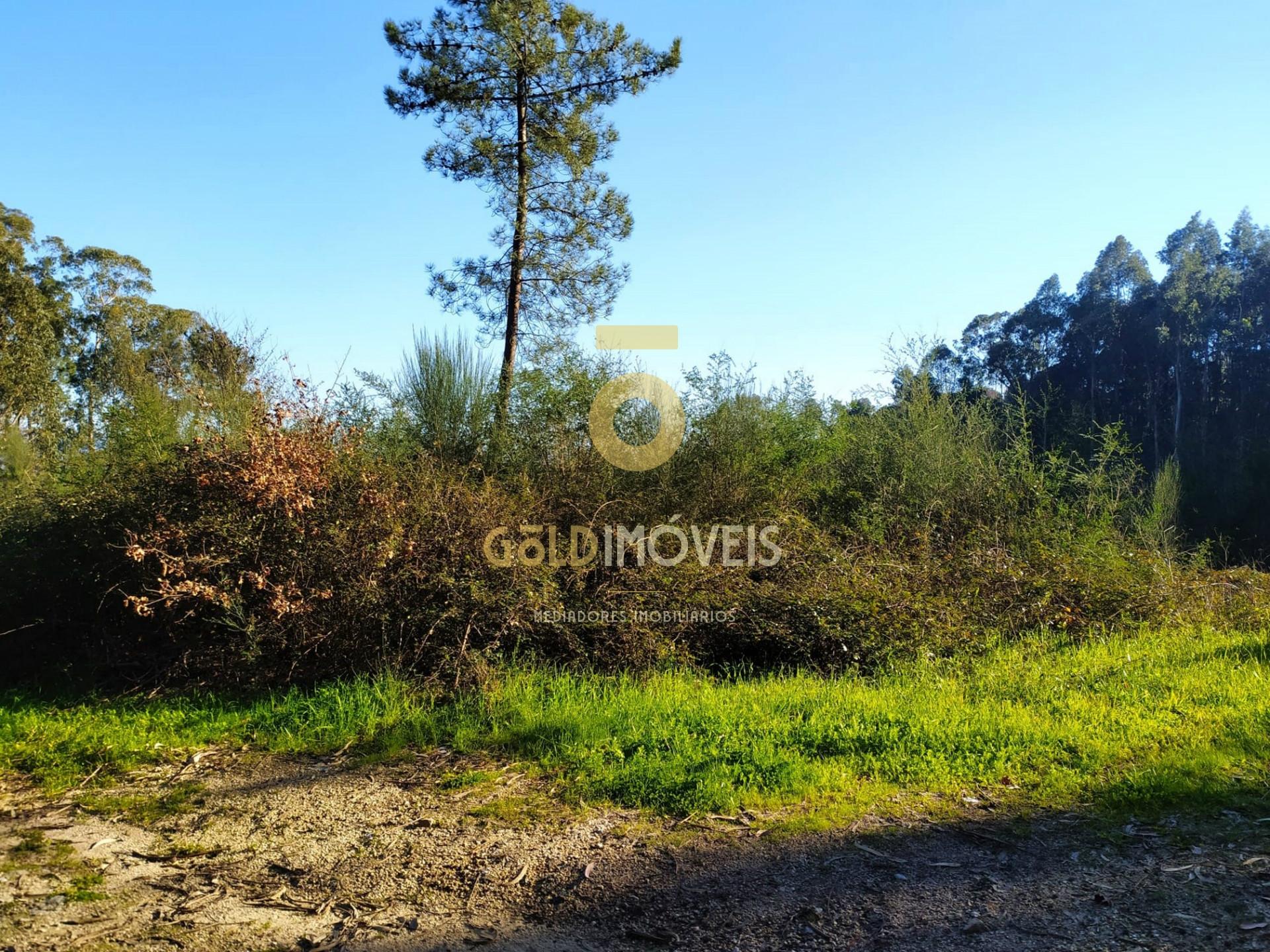 Terreno  Venda em Recezinhos (São Martinho),Penafiel